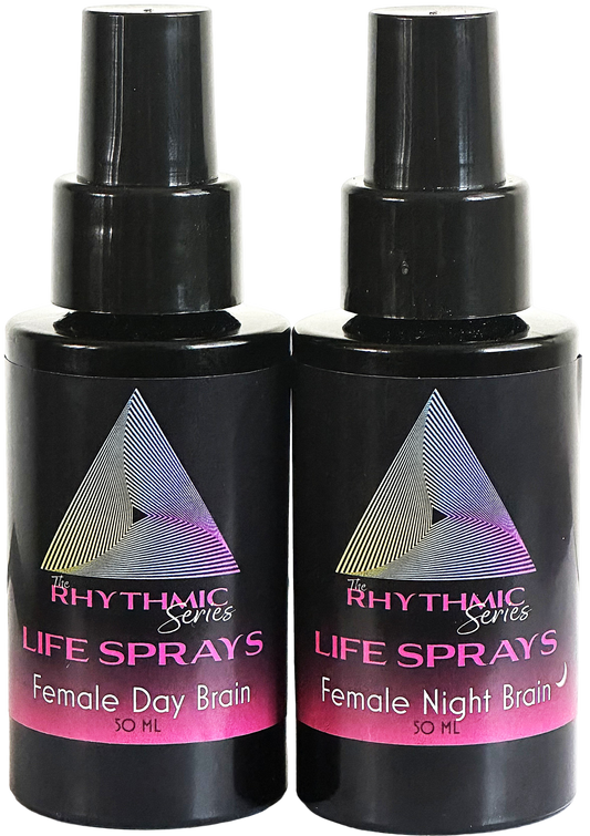Female Day and Night Brain Set