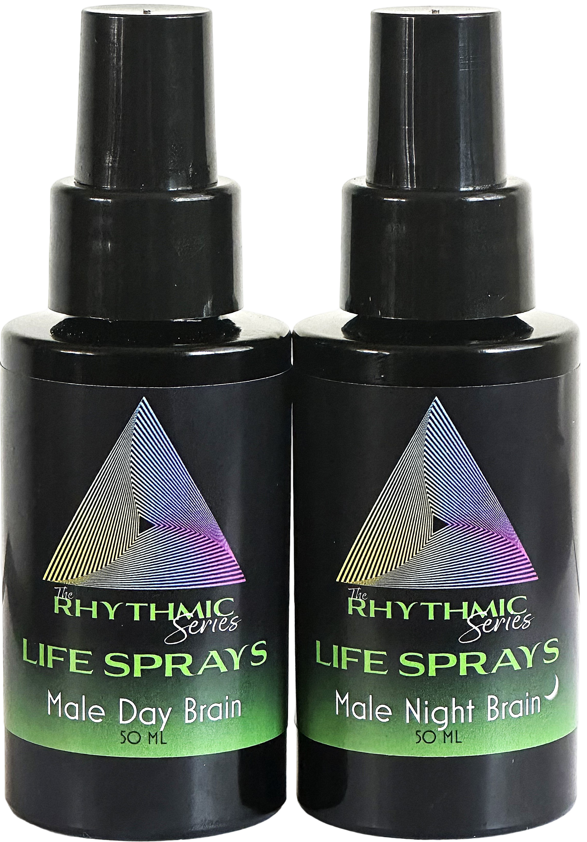 Male Day and Night Brain Set