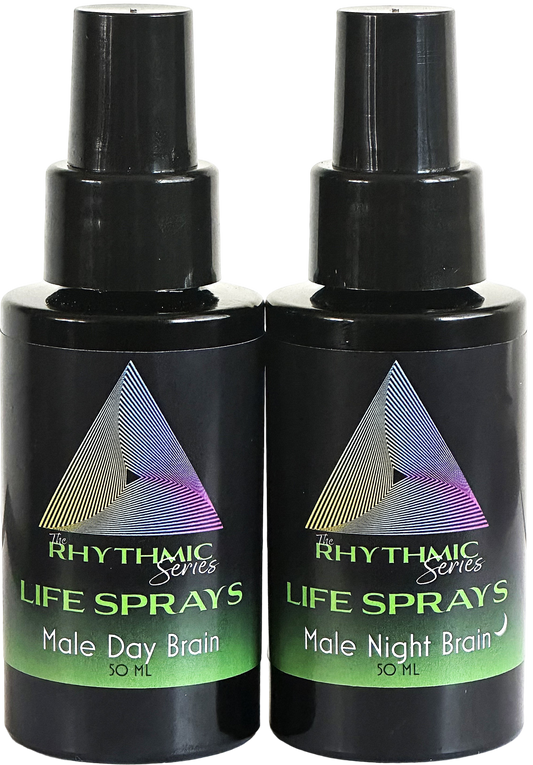 Male Day and Night Brain Set